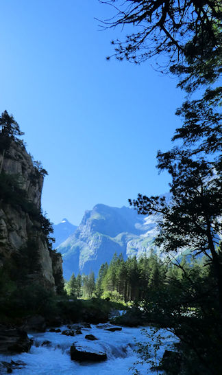 view